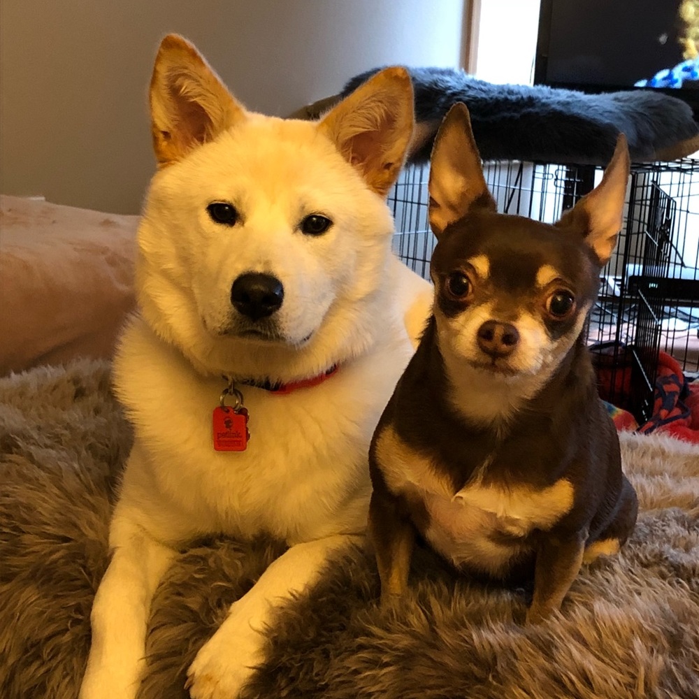 Meet your Posher, Shawn